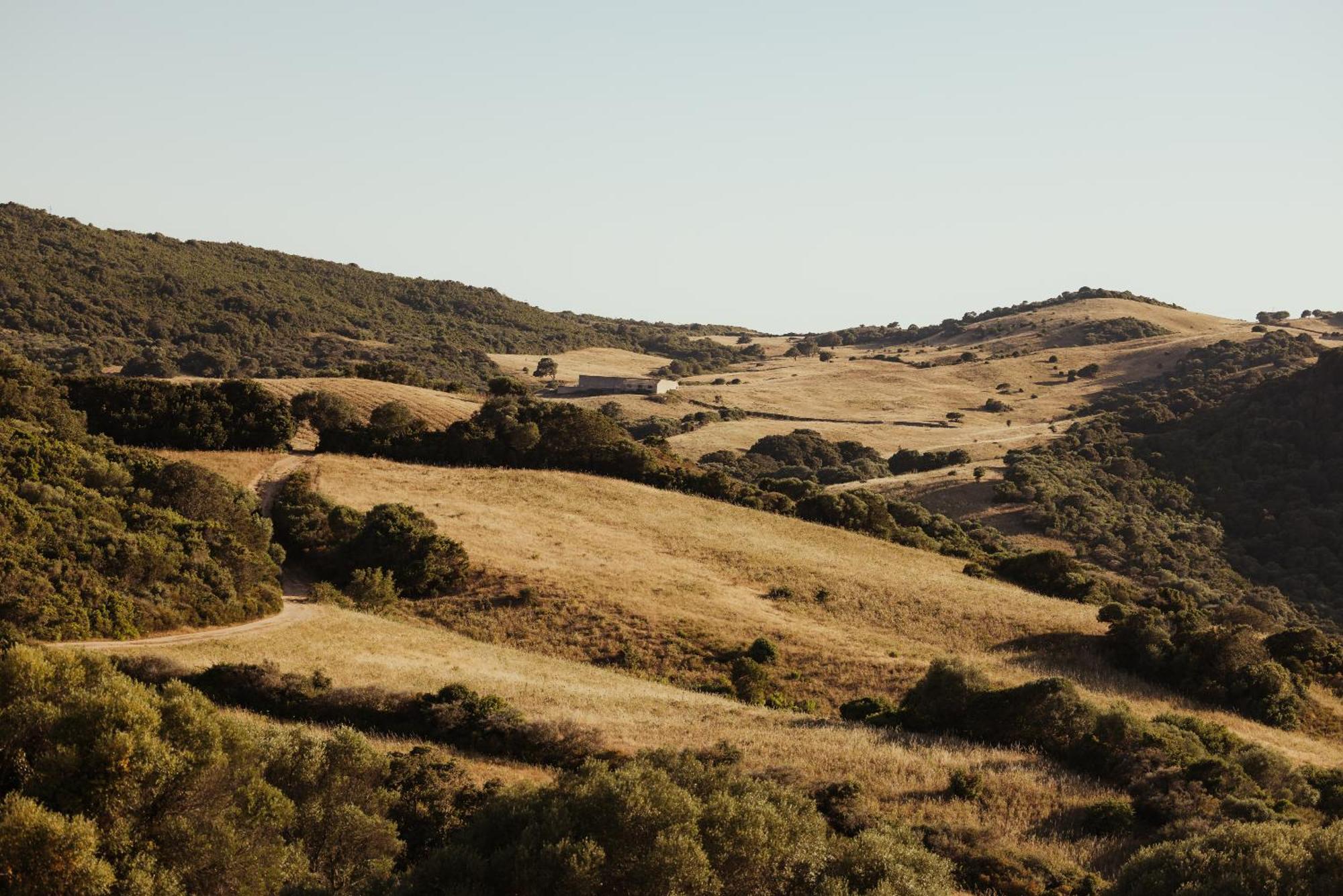 Nuali - Stazzo In Gallura Palau Kültér fotó