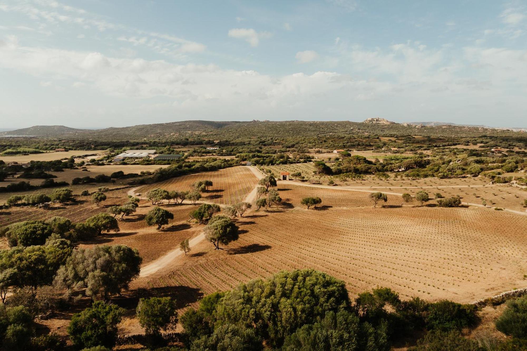 Nuali - Stazzo In Gallura Palau Kültér fotó