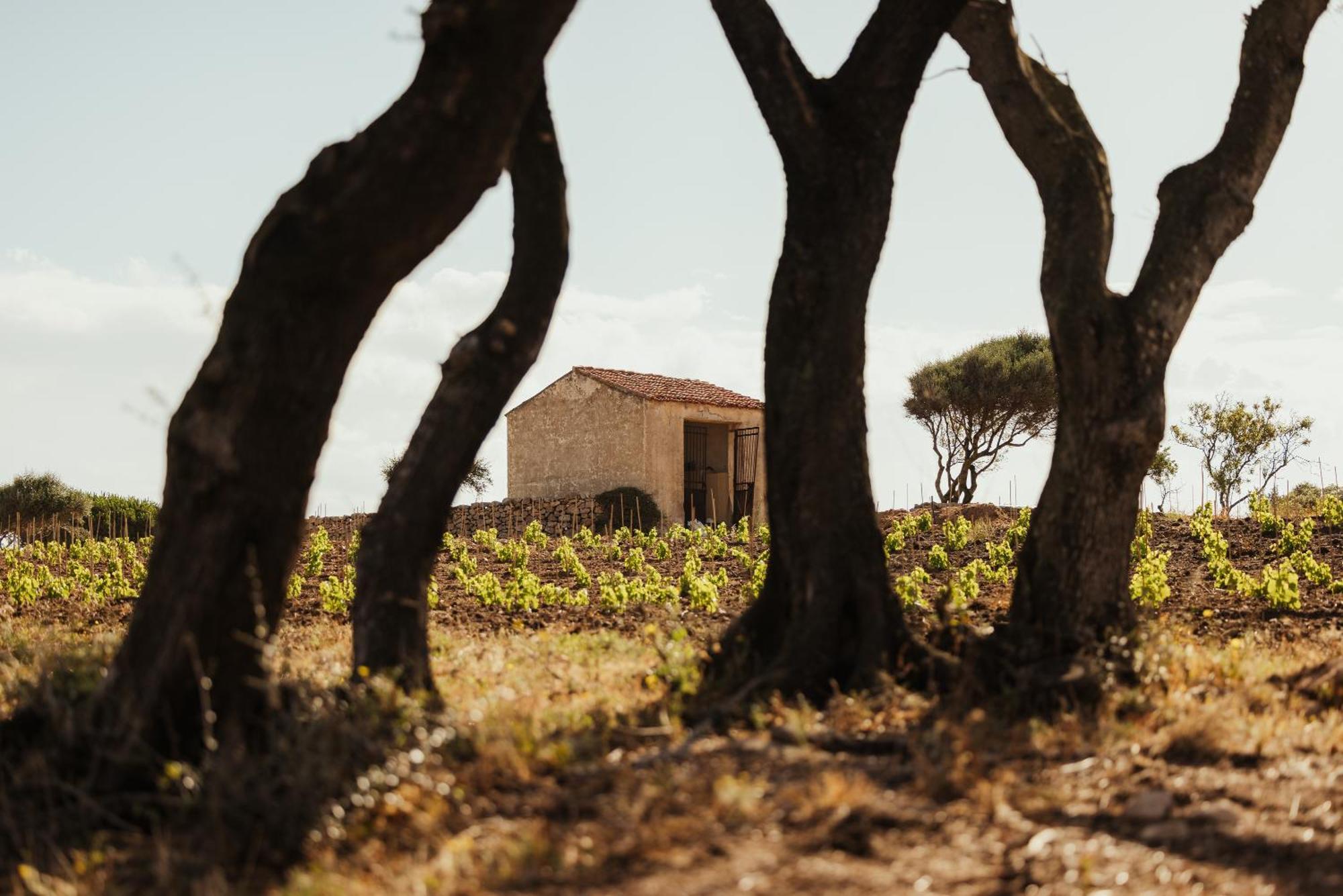 Nuali - Stazzo In Gallura Palau Kültér fotó